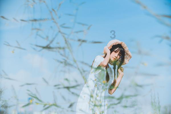 探索近期比较喜欢的电视剧?,专属知识星球,共享精彩学习之旅